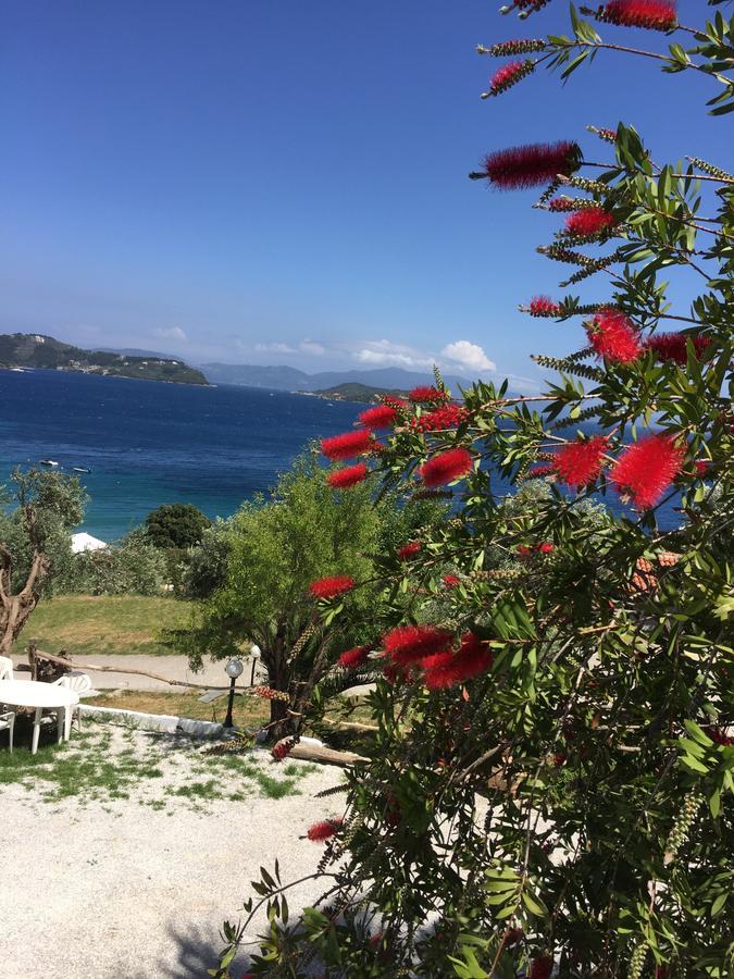 Vassilias Beach 瓦西里亚斯 外观 照片